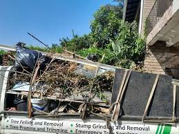 Best Same-Day Junk Removal Services  in Comstock Northwest, MI